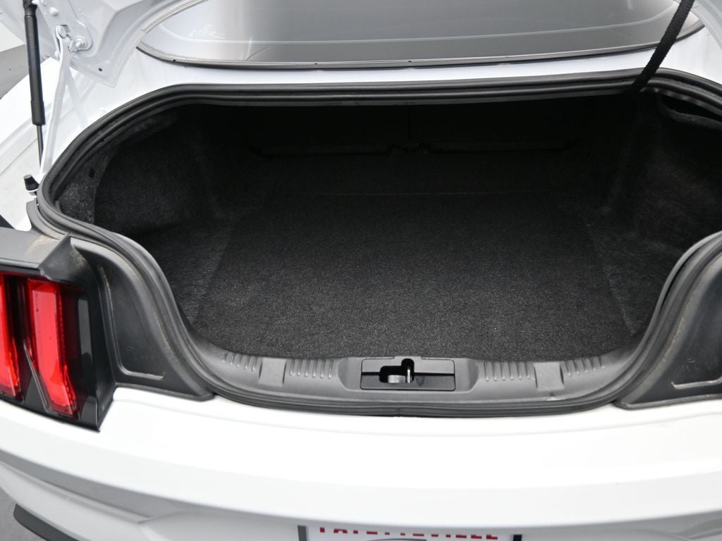 2021 Ford Mustang EcoBoost Fastback