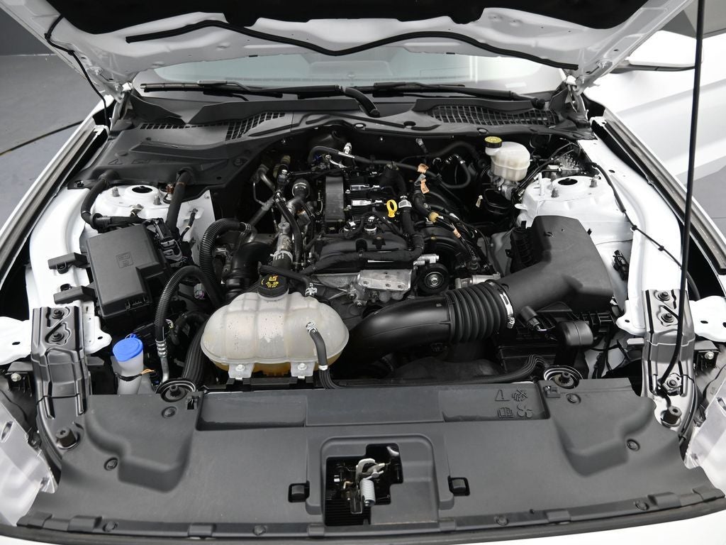 2021 Ford Mustang EcoBoost Fastback