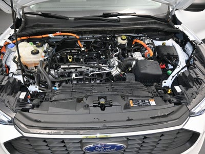 2023 Ford Escape Hybrid Active